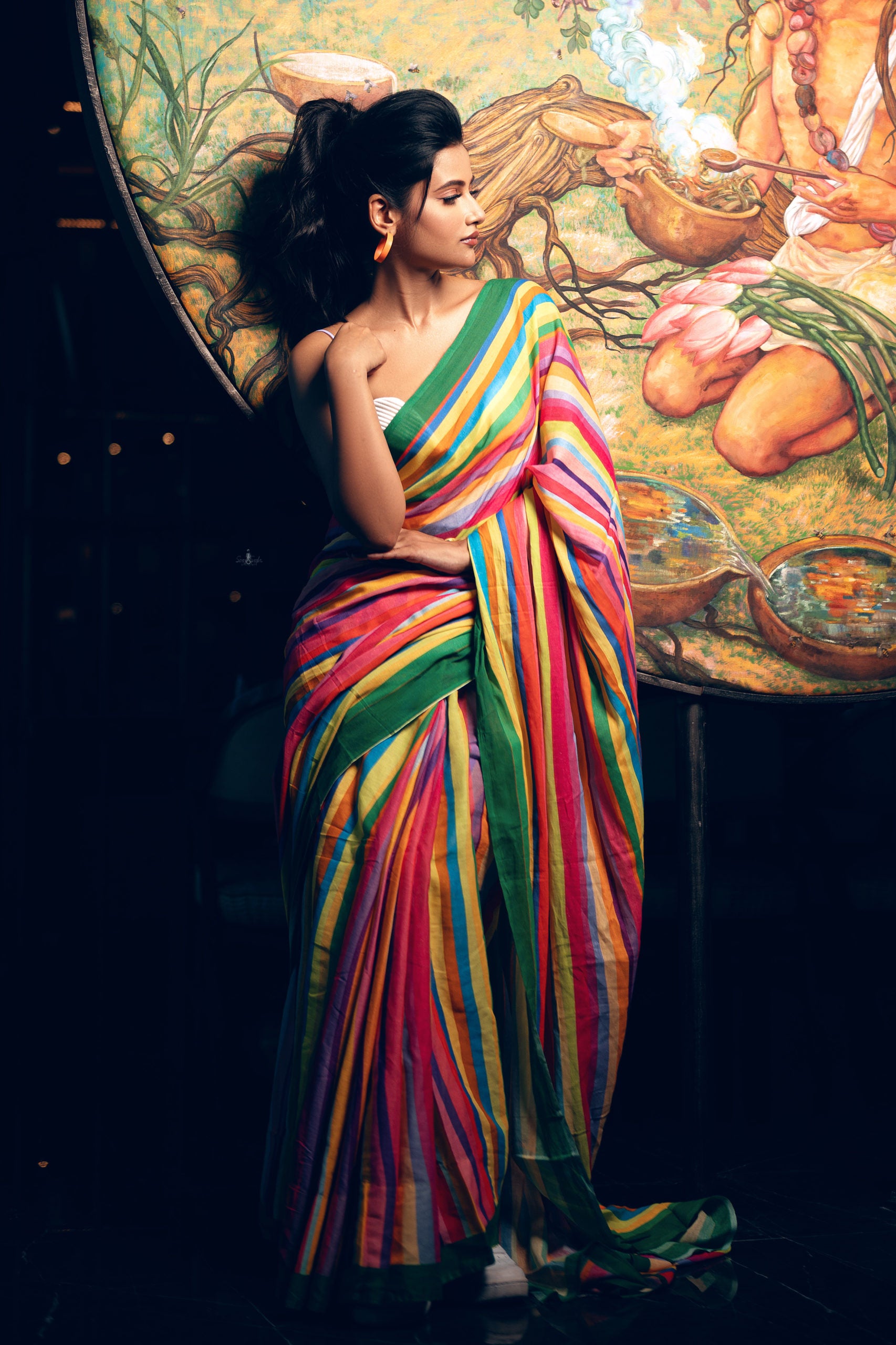 Colourful Pride Saree