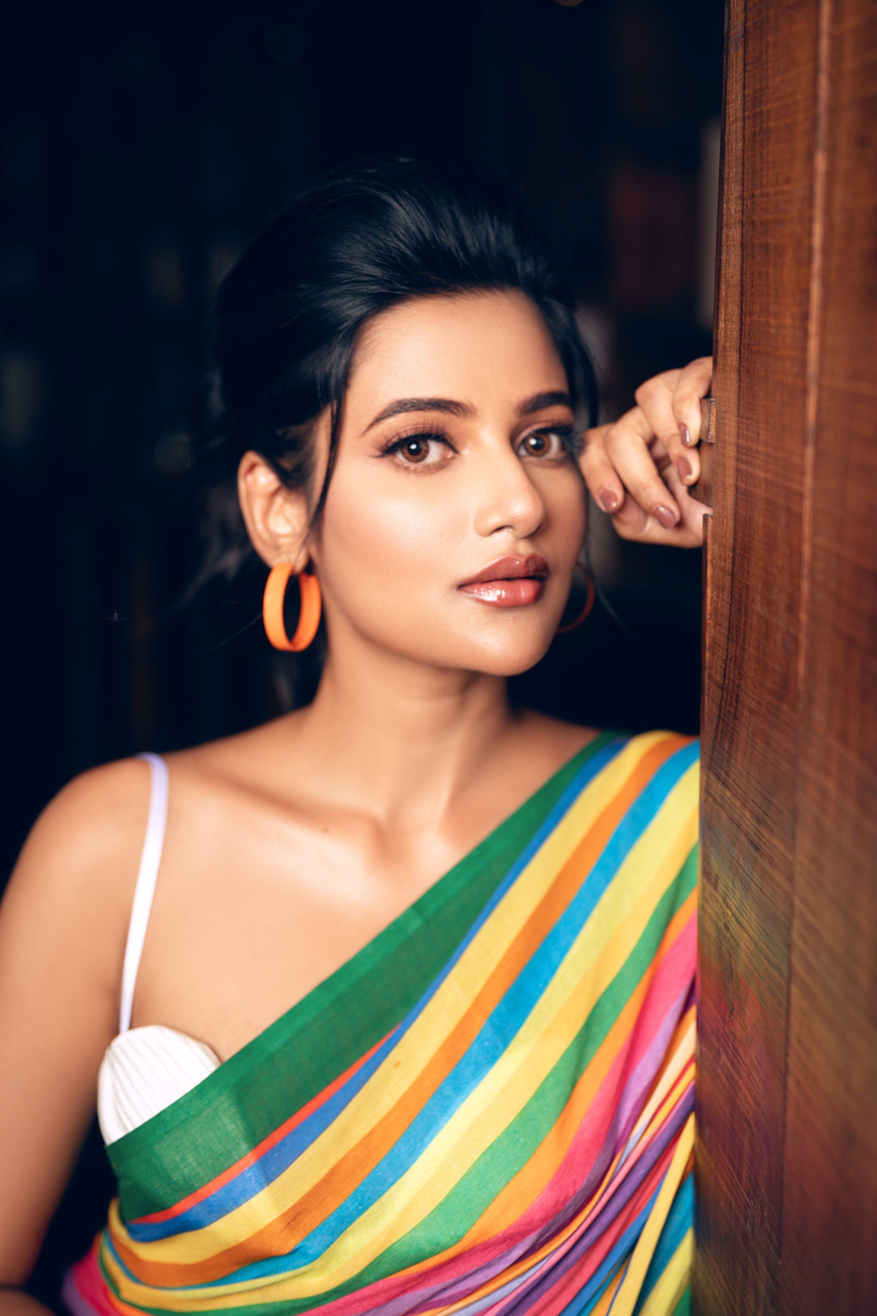 Colourful Pride Saree